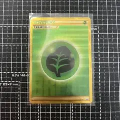 XY-P 基本草エネルギーゴールデンプレゼントキャンペーン PROMO