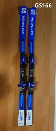 2026年最新】salomon gsの人気アイテム - メルカリ