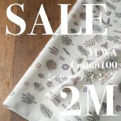 【SALE】05-2◆2M◆YUWA×河野愛さん◆綿100シャーティング◆