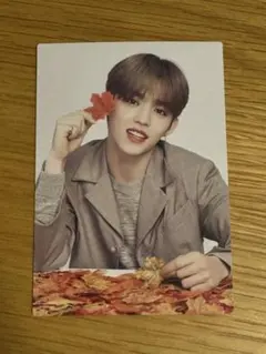 SEVENTEEN　エスクプス　トレカ