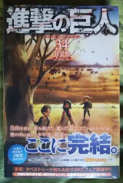 【新品・未開封】進撃の巨人 限定版／特装版 フルセット（全29冊） 2025年最新】進撃の巨人34巻未開封の人気アイテム - メルカリ