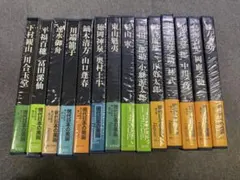 初版 現代日本の美術 全14巻セット 集英社 現代日本の美術 全14巻セット 集英社 - メルカリ