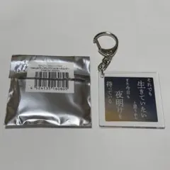 Hakubi ランダムアクリルキーホルダー　mirror
