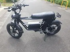 カワウソ様専用 】SUPER73 RX系統 LG48v20ah DNM - メルカリ
