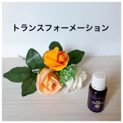 2025年最新】ヤングリヴィング トランスフォーメーションの人気