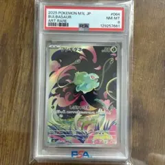 【PSA8】フシギダネ AR M1L 064/063 メガブレイブ