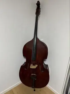 2025年最新】コントラバス chakiの人気アイテム - メルカリ