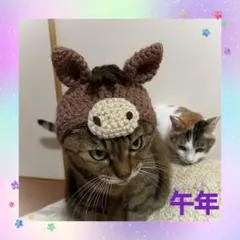 猫.小型犬用干支の被り物（午）