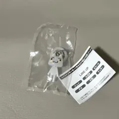 どこでもいっしょ めじるしアクセサリー