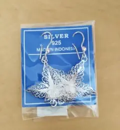 インドネシア　コタグデ　シルバーピアス