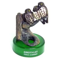 2026年最新】バードテイルズの人気アイテム - メルカリ