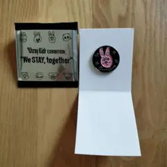Stray Kids ピンバッジ チャンビン