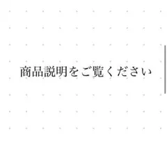 先着専用出品