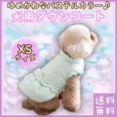 Item thumbnail for item 4b6362d2-190a-4bad-855a-95d23dc82495