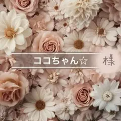 ココちゃん☆様専用⋈ *。