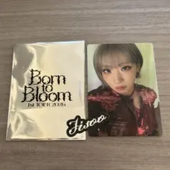 HANA トレカ ステッカー ジス Born to Bloom