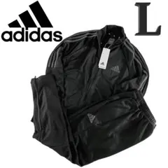 セットアップ ジャージ レディ