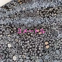 Item thumbnail for item 6dbdf674-7d03-4ed0-a8e6-7bbd2682f5b1