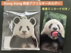 大パンダ展限定♦️お守り シャンシャンバッジ 上野動物園 パンダ 大パンダ展限定♦️お守り シャンシャンバッジ 上野動物園 パンダ