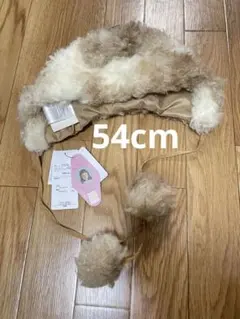 Item thumbnail for item 88d1aadc-c4e2-4767-b6ef-83cee4f00747