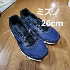 Item thumbnail for item 8bd38967-cced-4025-8374-0c6a129f76e2