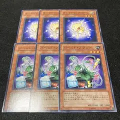 パペットプラント エレクトリックワーム 6枚 ゲートボール