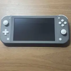 Nintendo Switch Lite グレー 本体 充電器と専用ケース付き