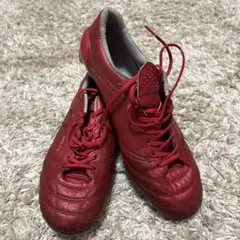 asics DSライト　X-FLY4 レッド