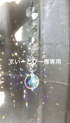 すいーとぴー様 リクエスト 2点 まとめ商品