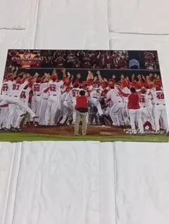 広島東洋カープ 優勝記念フォトポストカード #25新井貴浩