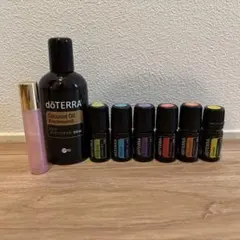 2026年最新】感情のオイル ドテラの人気アイテム - メルカリ