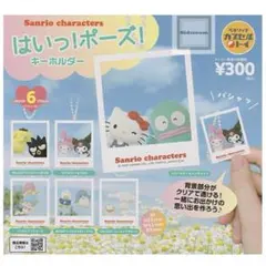 サンリオキャラクターズ はいっ！ポーズ！キーホルダー ペックル&タキシードサム