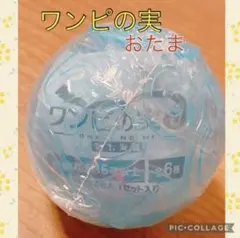 【新品未使用】ワンピの実 第七海戦 お玉 カプセルなし割引き