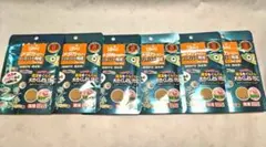 メダカベビー ハイパー育成③