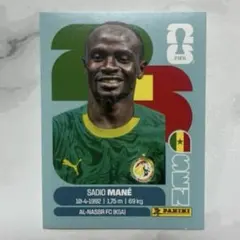 メッシ ネイマールなど panini prizm 2014 201種 - メルカリ