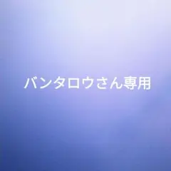 バンタロウさん専用