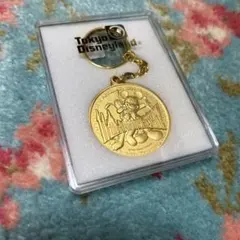 TDL 東京ディズニーランド キーホルダー メダル 11周年　11th
