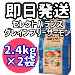 セレクトバランス グレインフリー アダルト サーモン 成犬用 10kg