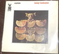 2026年最新】BOBBY hutcherson montaraの人気アイテム - メルカリ