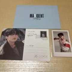 MAXIDENT リノカード ポストカード