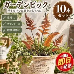 ガーデンピック 10本セット アイアン メタル シダ 植物 ガーデニング 園芸