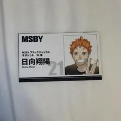 ハイキュー　ファンパーク　名刺カード　日向翔陽