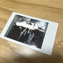 鮮血A子ちゃん、DAMNEDコラボチェキ