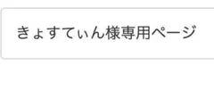 きょすてぃん様専用ページ