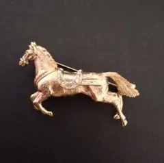 2025年最新】ciner ブローチの人気アイテム - メルカリ