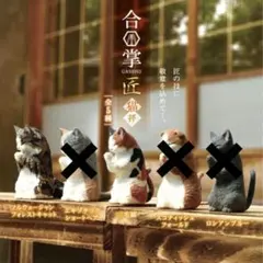 合掌 匠 猫拝 ノルウェージャン×1 三毛猫×2