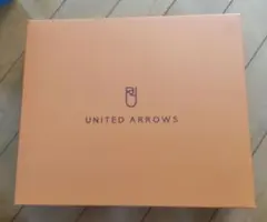 【早い物勝ち】UNITED ARROWS フェイスタオル 2枚セットのサムネイル