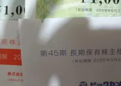 ビックカメラ 11,000円分 株主優待