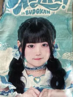 iLiFE! 虹羽みに 武道館 まとめ売り うちわ ぬいぐるみ タオル One Life BUDOKAN 武道館 マフラータオル 虹羽みに こはねみに iLiFE