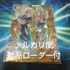 MM4-SEC5 ベジット